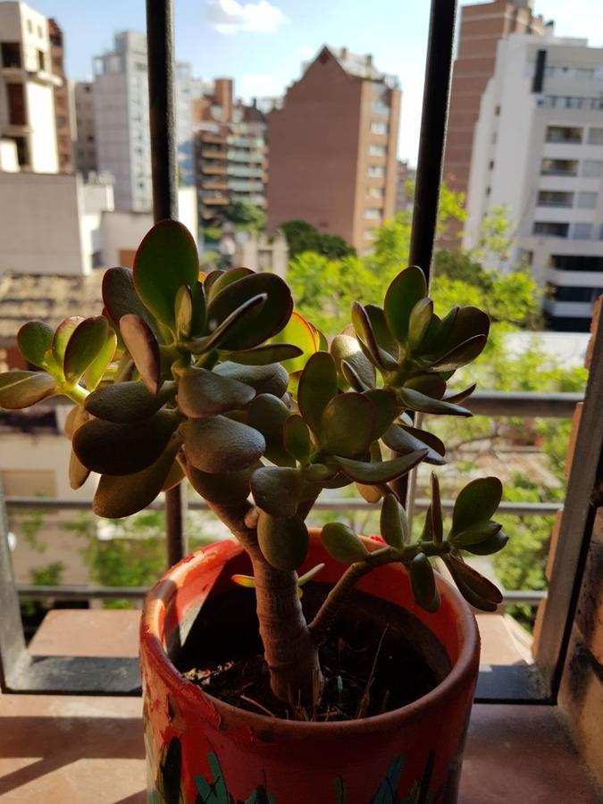 Apartamento Carlucci Cordoba Bagian luar foto